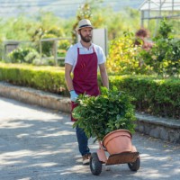 gardener working at the garden center - garden decoration stock pictures, royalty-free photos & images