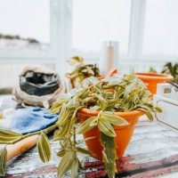 gardening equipment at home - garden decoration stock pictures, royalty-free photos & images