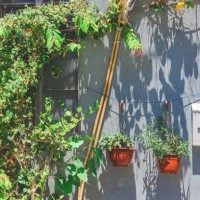 gardening in historic neighborhood, old renovated house decorated with potted plants in bright sunlight - garden decoration stock pictures, royalty-free photos & images