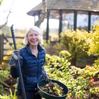 gardening with a smile - home decoration stock pictures, royalty-free photos & images