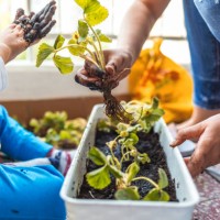 gardening with my son - garden decoration stock pictures, royalty-free photos & images