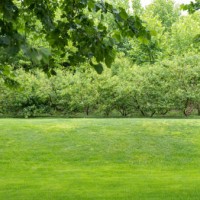 gardens and green spaces - garden decoration stockfoto's en -beelden