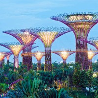 gardens by the bay, singapore. - garden decoration stock pictures, royalty-free photos & images