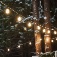 garland of lamps in the winter forest. - garden decoration stock pictures, royalty-free photos & images
