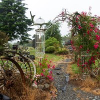 garten im freien des otira stagecoach hotels - garden decoration stock-fotos und bilder