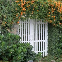 gate decor ideas with brilliant flowers and unique - garden decoration stock pictures, royalty-free photos & images