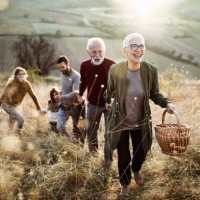 gelukkige hogere vrouw die haar familie leidt om picknickplaats op de heuvel te perfectioneren. - food stockfoto's en -beelden