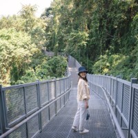 gen-z asian hipster canopy walkway in forest located at the impressive queen sirikit botanic gardens in chiang mai, thailand. - garden decoration stockfoto's en -beelden