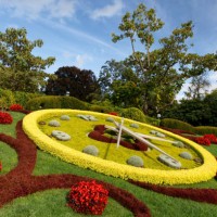 geneva flower clock l'horloge fleurie - garden decoration stock pictures, royalty-free photos & images