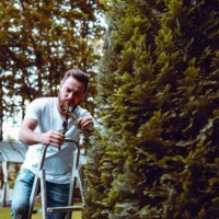 genieten terwijl mijn tuin versieren - garden decoration stockfoto's en -beelden