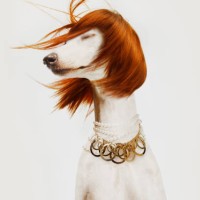 gigi - fashion stock pictures, royalty-free photos & images