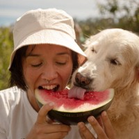 girl eating watermelon with her dog - food stock pictures, royalty-free photos & images