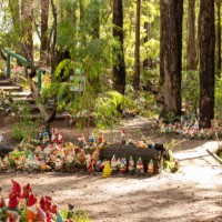 gnomesville - garden decoration stock pictures, royalty-free photos & images