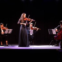 graceful violinist in a black, elegant dress playing the violin while standing in front of the rest of the string quartet - concert stock pictures, royalty-free photos & images