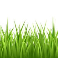 grass vector seamless - garden decoration stock illustrations