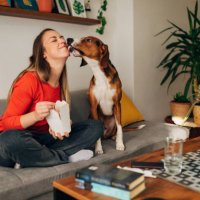 grateful hound dog licking his female owner on the checks after she gave him a bite a morsel of her take out food - junk food stock pictures, royalty-free photos & images