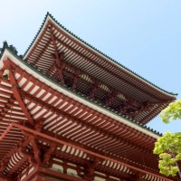great pagoda of peace, naritasan temple, narita, japan - garden decoration stock pictures, royalty-free photos & images