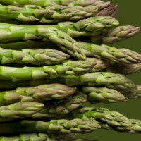 green asparagus tips - food stock pictures, royalty-free photos & images