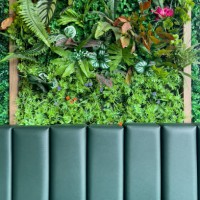 green booth backrest with tropical greenery wall - garden decoration stockfoto's en -beelden