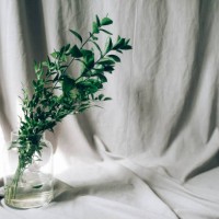 green branches in a vase on a gray background. eco concept. - garden decoration stock pictures, royalty-free photos & images