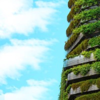 green building covered with a vertical garden for energy efficiency and big copy space of a blue sky. - garden decoration stock pictures, royalty-free photos & images