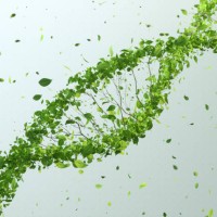 green dna - food stock pictures, royalty-free photos & images