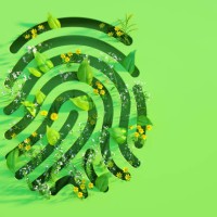 green fingerprint shape with leaves and flowers. - food stock pictures, royalty-free photos & images