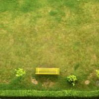 green garden - garden decoration photos et images de collection