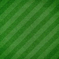 green grass textured background with stripe - garden decoration stock pictures, royalty-free photos & images