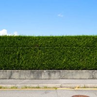 green hedge with sidewalk, street and blue sky in france - garden decoration stock pictures, royalty-free photos & images