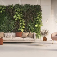 green living room - home decoration stock pictures, royalty-free photos & images