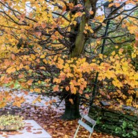 green metal garden furniture in a small garden in autumn - garden decoration stock pictures, royalty-free photos & images