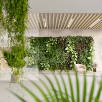 green office - home decoration stock pictures, royalty-free photos & images