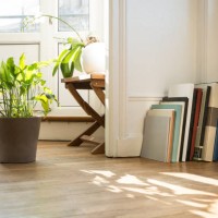 green plants and art books on parquet floor, nancy, france - home decoration stock pictures, royalty-free photos & images
