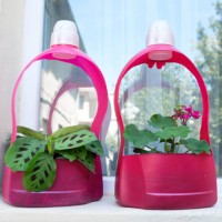 green plants in flower pots stand on the windowsill, on the balcony, outdoors. flowers in a used plastic bottle. view from the street. home improvement, lush foliage. recycling of waste and plastic. plastic pollution. environ
