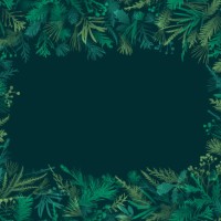 green realistic christmas plants frame design - garden decoration stock illustrations