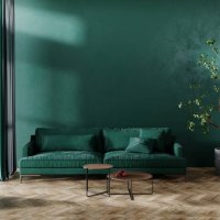 green sofa against green wall - home decoration stock pictures, royalty-free photos & images