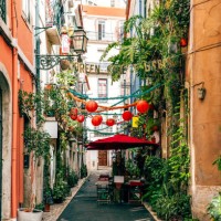 green street with plants in santa catarina district, lisbon, portugal - garden decoration stock pictures, royalty-free photos & images