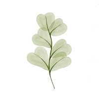 green watercolor plants - garden decoration stock pictures, royalty-free photos & images