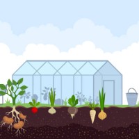 greenhouse for growing plants. - garden decoration stock illustrations