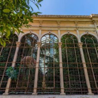 greenhouse of the ciutadella - garden decoration stock pictures, royalty-free photos & images