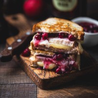 grilled cheese sandwich with turkey and cranberry sauce - junk food stock pictures, royalty-free photos & images