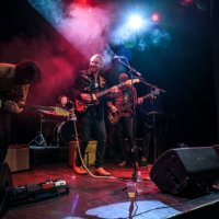 grinning musicians performing on stage - concert stock pictures, royalty-free photos & images
