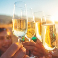 group of friends making a champagne toast on the beach. - concert stock pictures, royalty-free photos & images