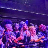 group of people enjoying an evening out at a music venue. - concert stock pictures, royalty-free photos & images