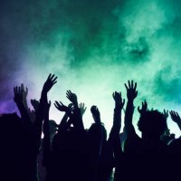 group of people having fun at music concert - concert stock pictures, royalty-free photos & images