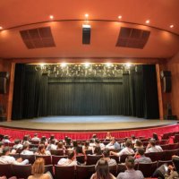 group of people sitting at the theater waiting for the performance to start - concert stock pictures, royalty-free photos & images