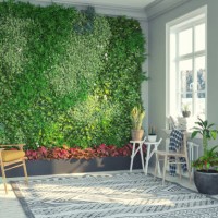 growing vertical garden at home - home decoration stock pictures, royalty-free photos & images