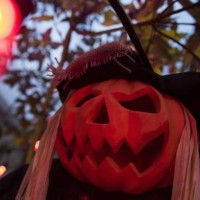 Halloween decorations are seen in a garden at sunset in Washington DC on October 20, 2018. - Spending in the US this year is expected to reach $9...
