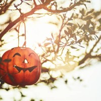 halloween jack o'lantern hanging in tree at dusk - garden decoration stock pictures, royalty-free photos & images